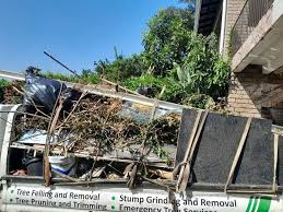 Professional Junk Removal Services in Takoma Park, MD